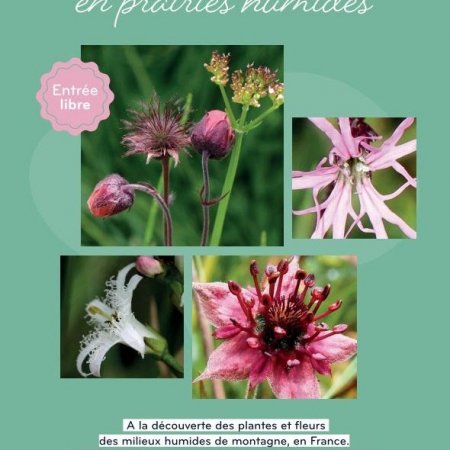 Expo photos " De mares en prairies humides" du 24 septembre au 4 octobre