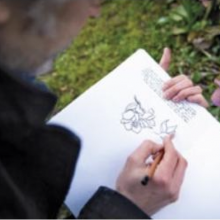 Entretien dessiné avec Simon Hureau