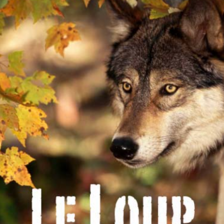 Exposition Le loup - du 21/12 au 05/01